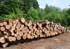 木材価格高騰