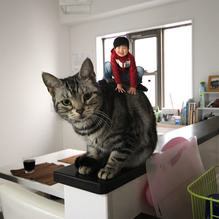 入居後の感想