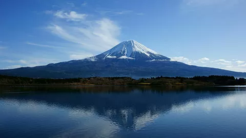 新年のご挨拶